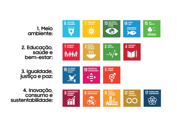 Objetivos de Desenvolvimento Sustent&aacute;vel
