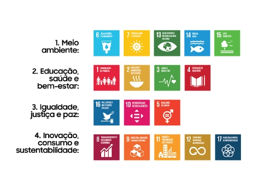 Objetivos de Desenvolvimento Sustent&aacute;vel